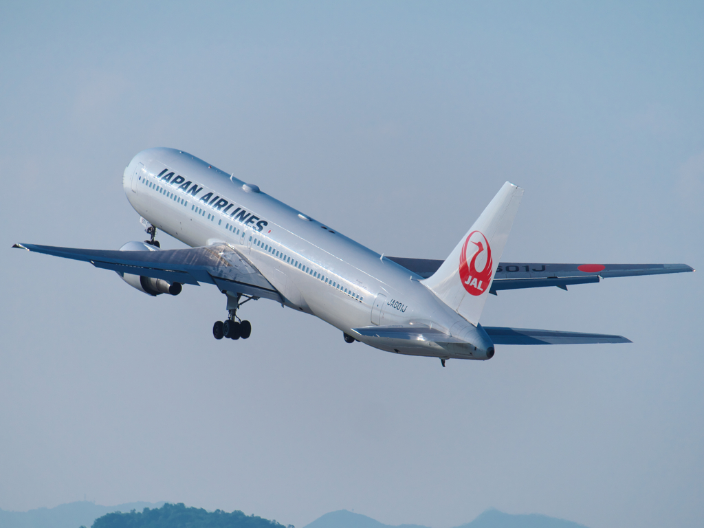 夏空に向かって
