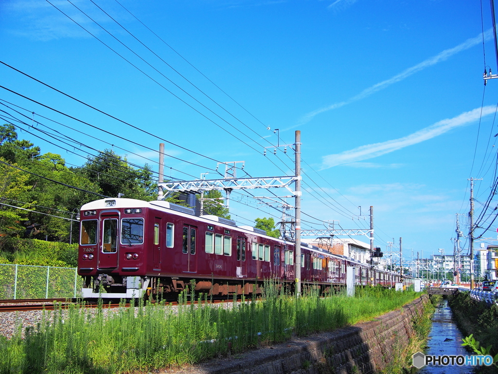 盛夏の日差しを浴びて