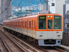 駆逐対象