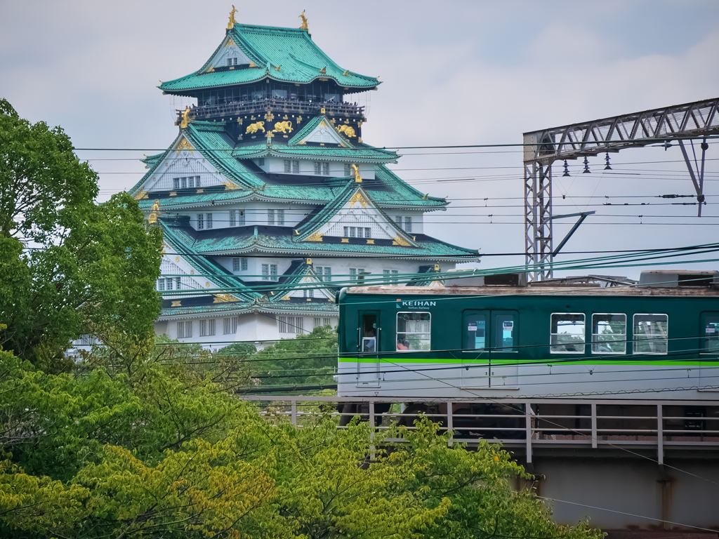 大阪城を仰ぎ見て