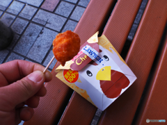 2017・PHOTOHITO納め