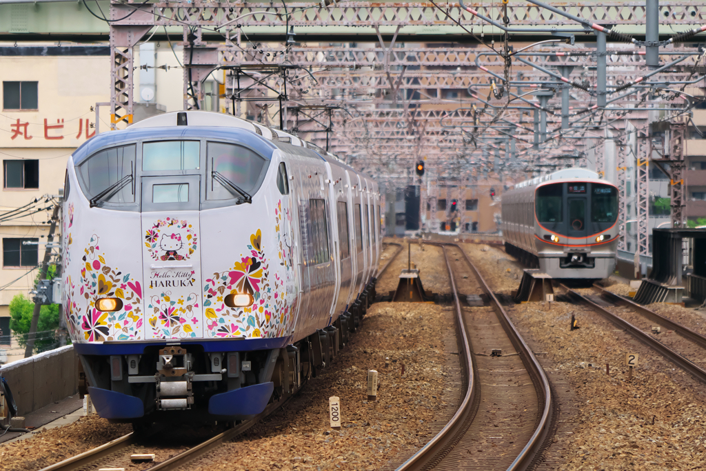 一緒に走ろう