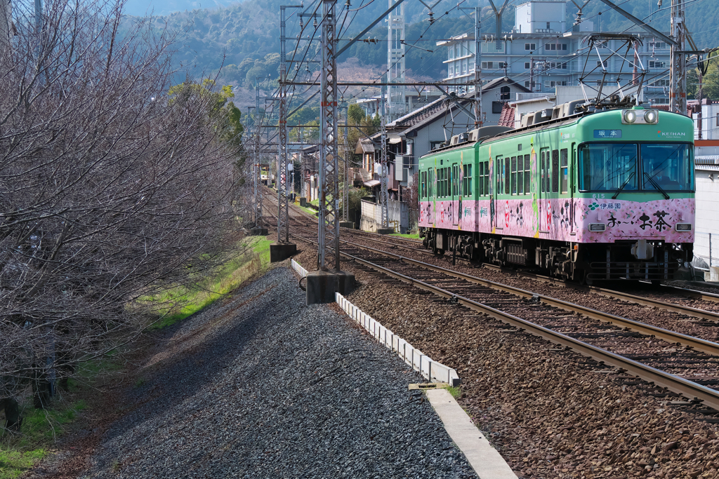 枯れ木に花を咲かせましょう