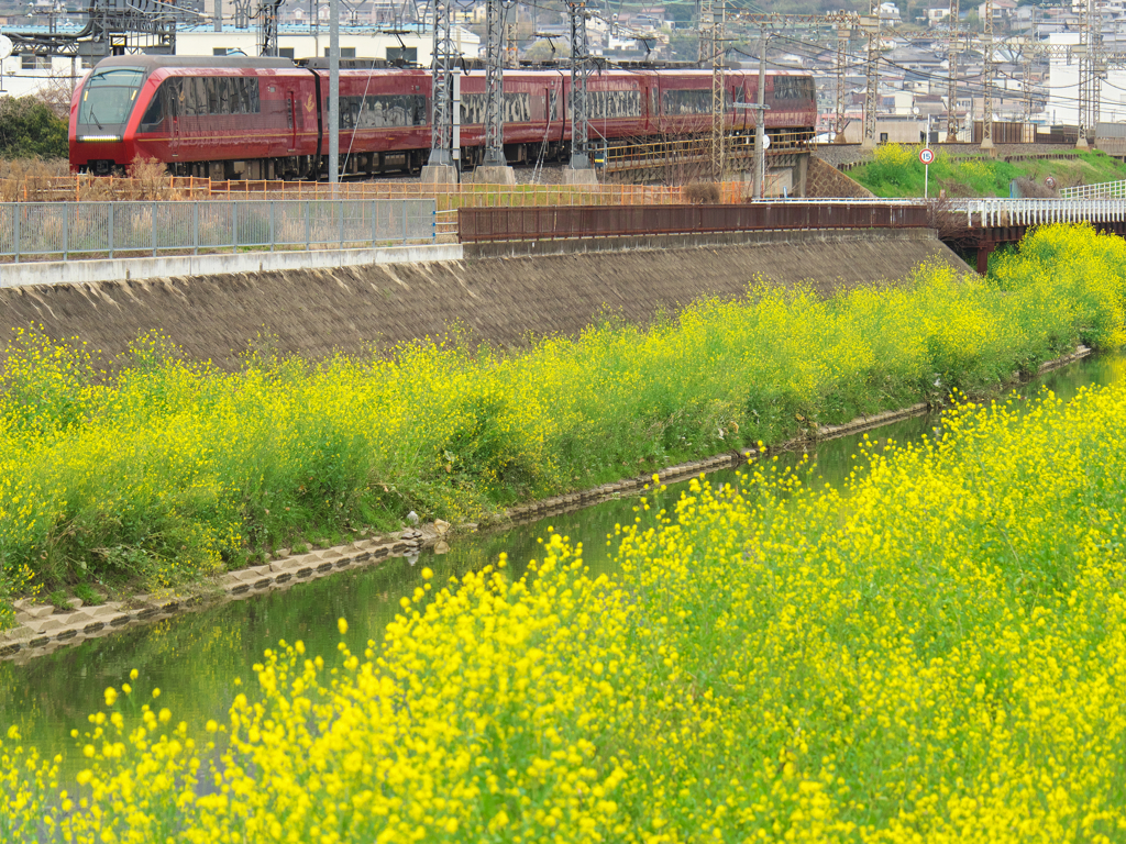 春の小川