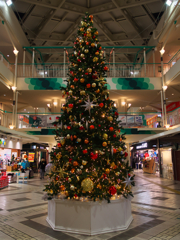 街角にはクリスマスツリー
