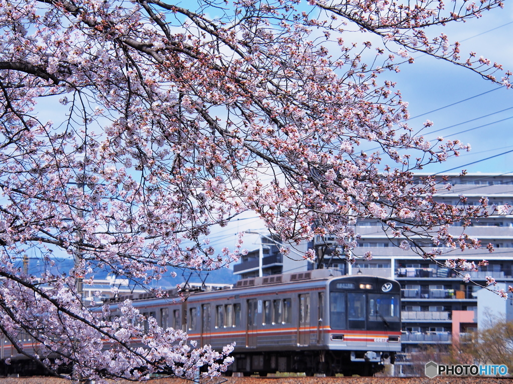 阪急千里線・春景色