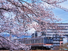 阪急千里線・春景色