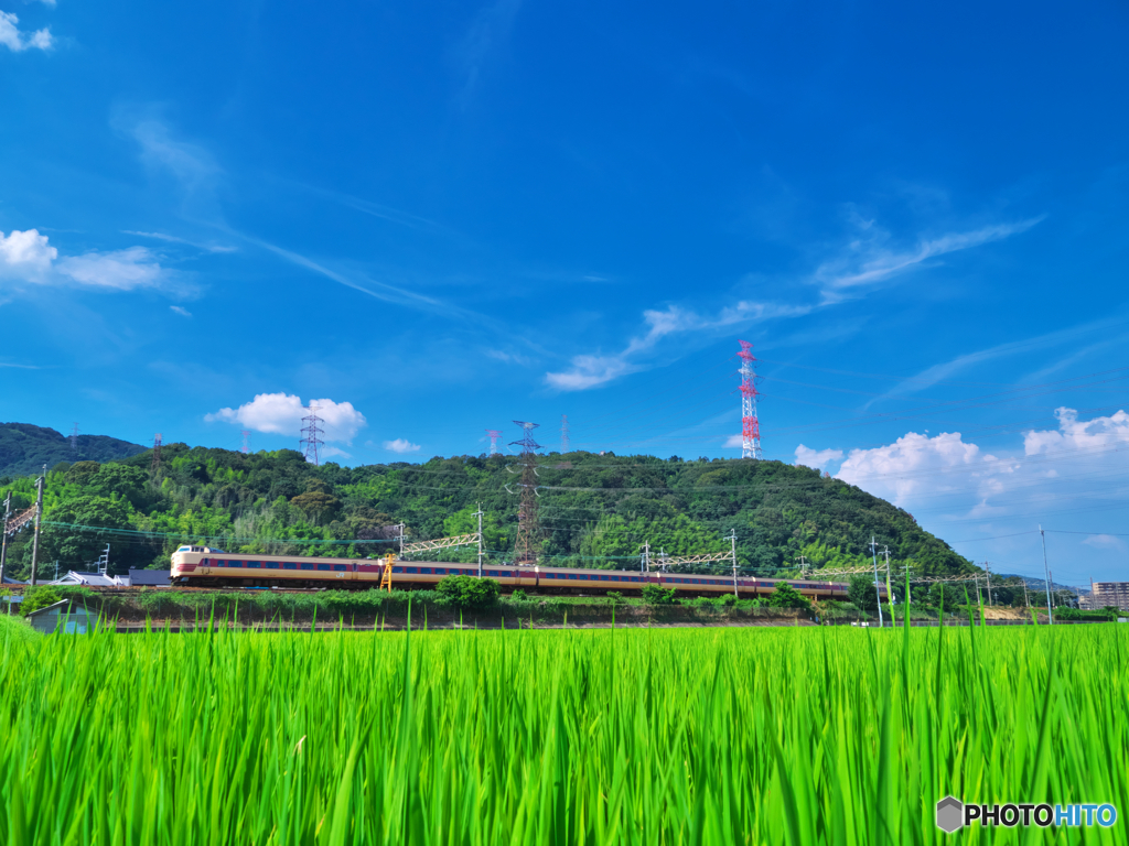 あの日、振り子の夏