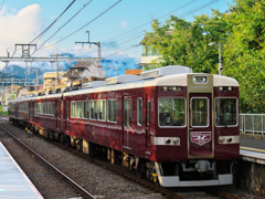 愛されて半世紀 Ⅱ 愛されて半世紀 Ⅱ