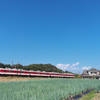 写真も料理も……