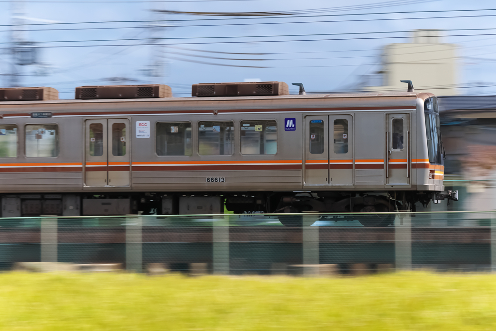 実り　2019 Ⅱ