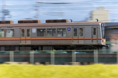 実り　2019 Ⅱ