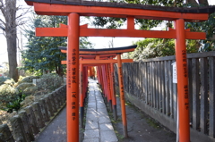 根津神社　鳥居トンネル