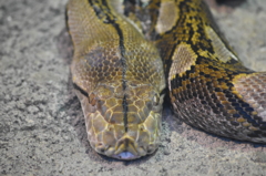 UEN_0755