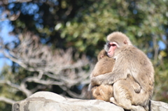 UEN_0196