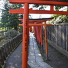 根津神社　鳥居トンネル