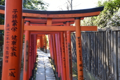 根津神社　鳥居トンネル