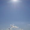 sun wing