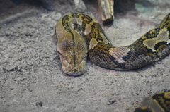 UEN_0757
