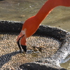 UEN_0861