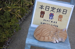 定休日