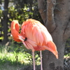 UEN_0847