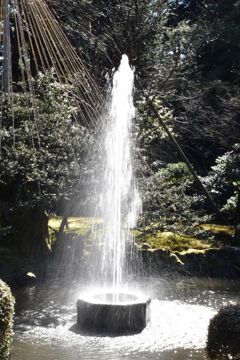 遅れた噴水