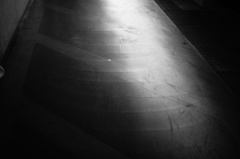 DSC00230