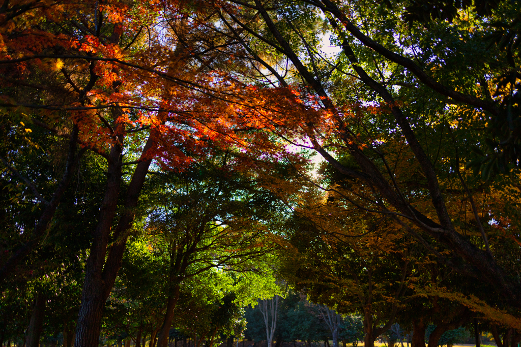 【フォトログ】航空公園-3