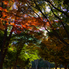 【フォトログ】航空公園-3
