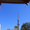 浅草寺のスカイツリー