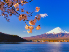 河口湖の春
