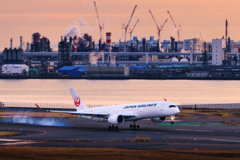 【フォトログ】羽田空港第一ターミナル-1