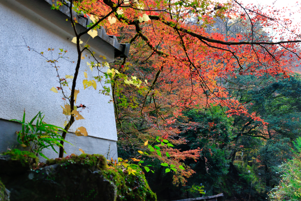 【フォトログ】貴船神社-3