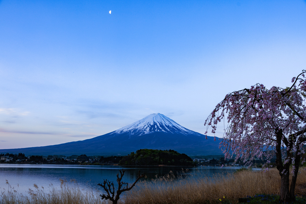 【フォトログ】河口湖湖畔からの富士山-4