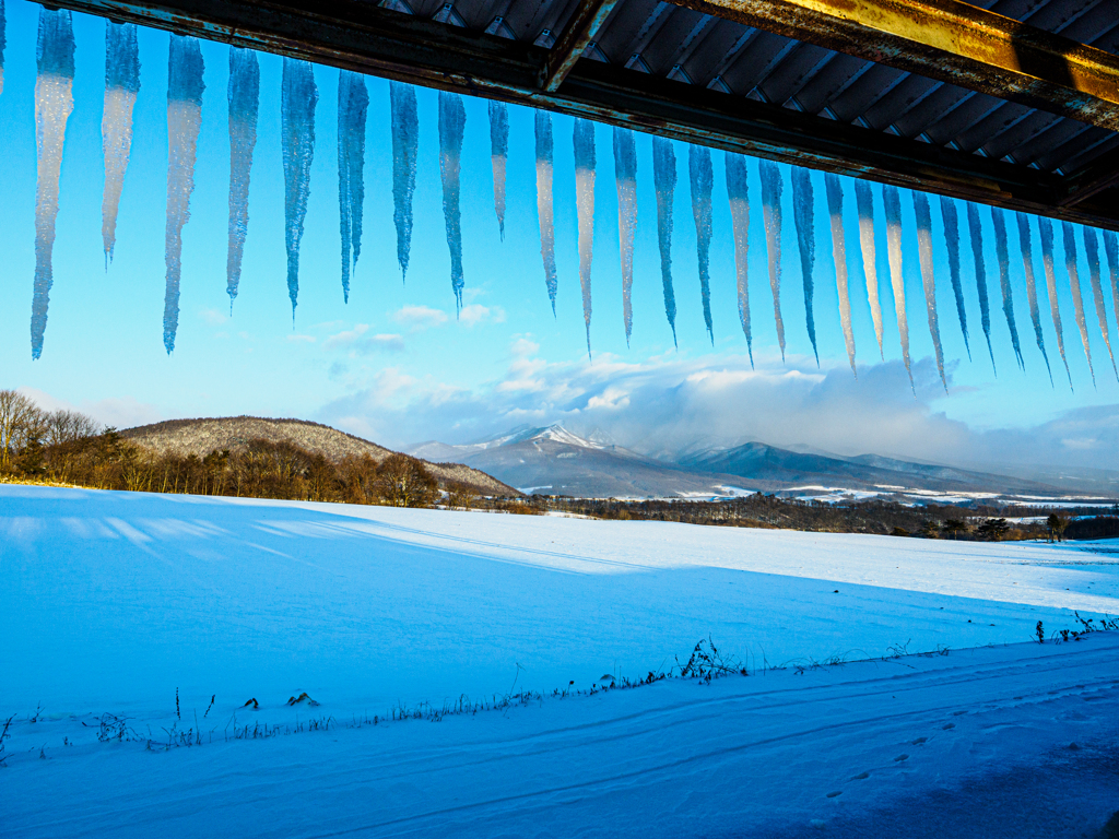 ある農家の冬の軒先