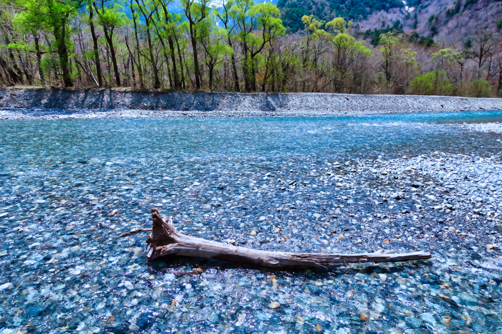 【フォトログ】上高地・明神橋付近-1