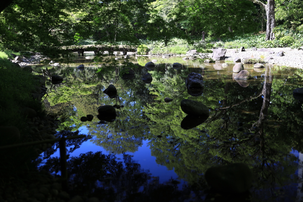 ある日の庭園
