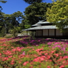 去り行く平成をしのび皇居周辺を散策