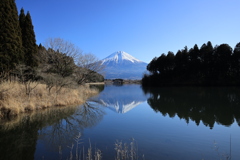 初春の朝