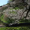 去り行く平成をしのび皇居周辺を散策