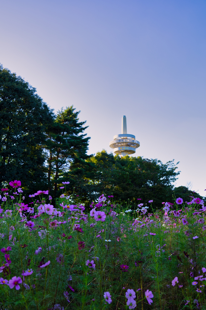 【フォトログ】航空公園ー5