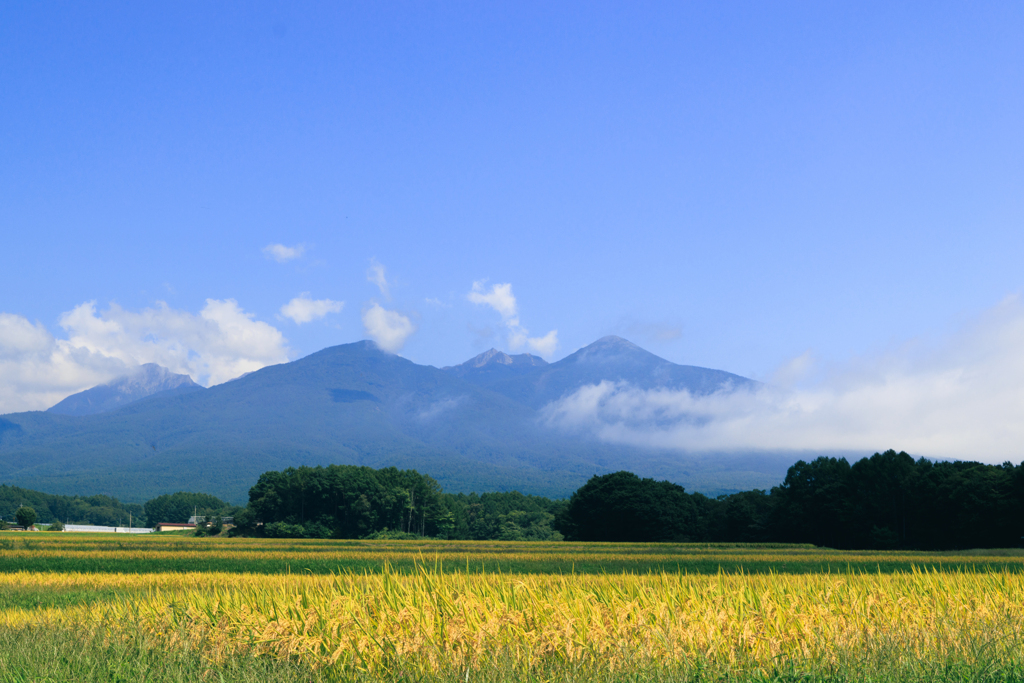 【フォトログ】田園風景