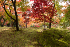 【フォトログ】京都・永観堂-1