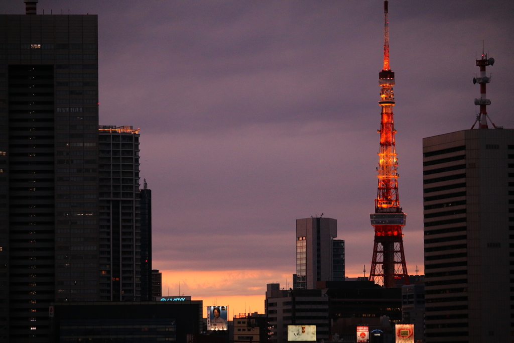 東京タワーのある夕景