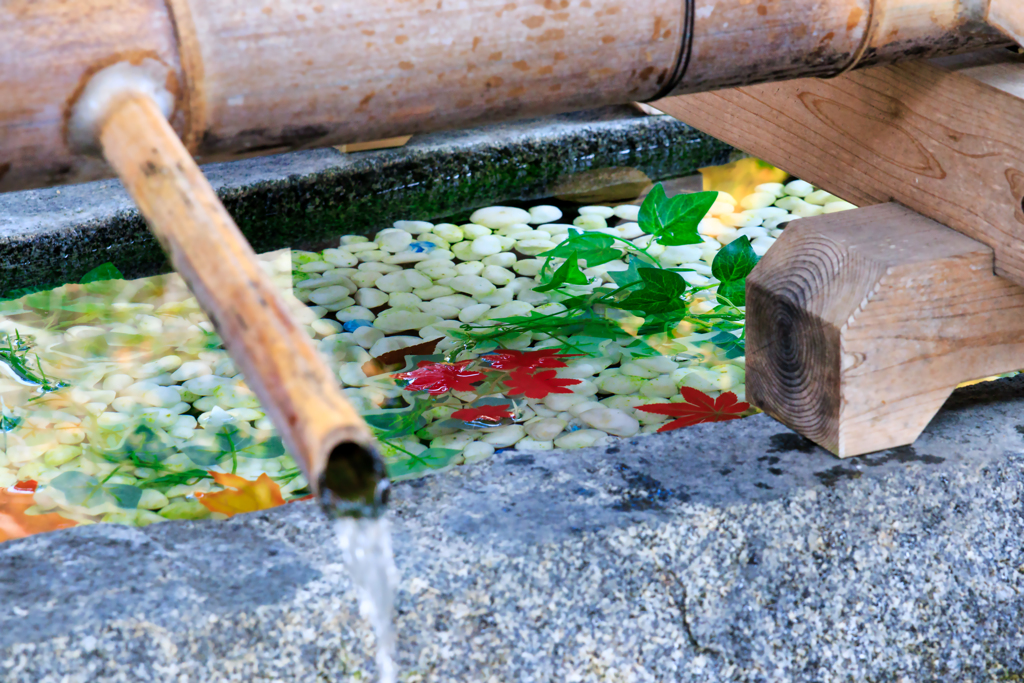 【フォトログ】上賀茂神社-4