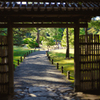 【フォトログ】六義園-1