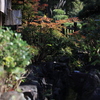 秋の夢