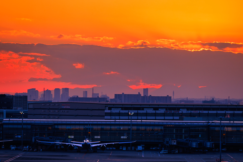 【フォトログ】羽田空港第一ターミナル-2
