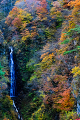 滝のある風景